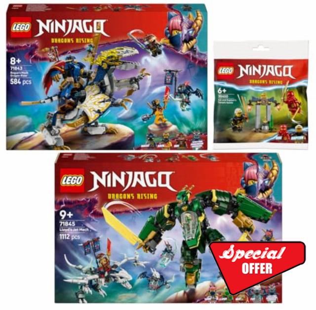 Lego Ninjago Set of 3: 71843 Rogues Mech Dragon Rider