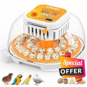 36 Quail Incubators for Hatching Eggs