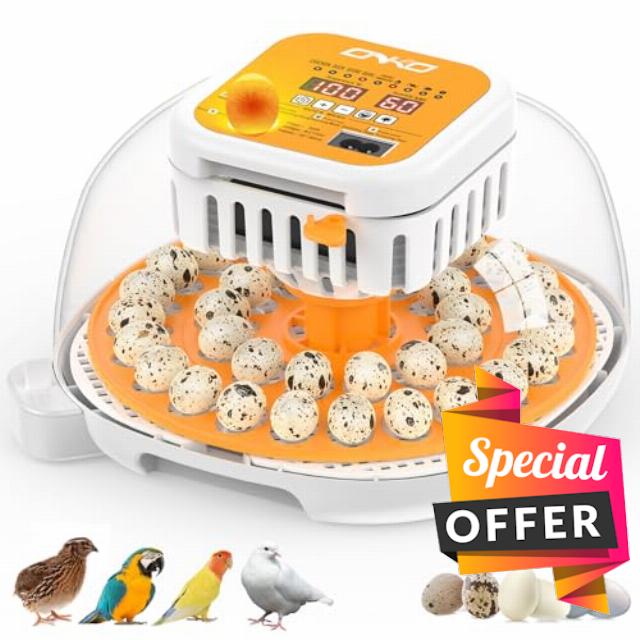 36 Quail Incubators for Hatching Eggs