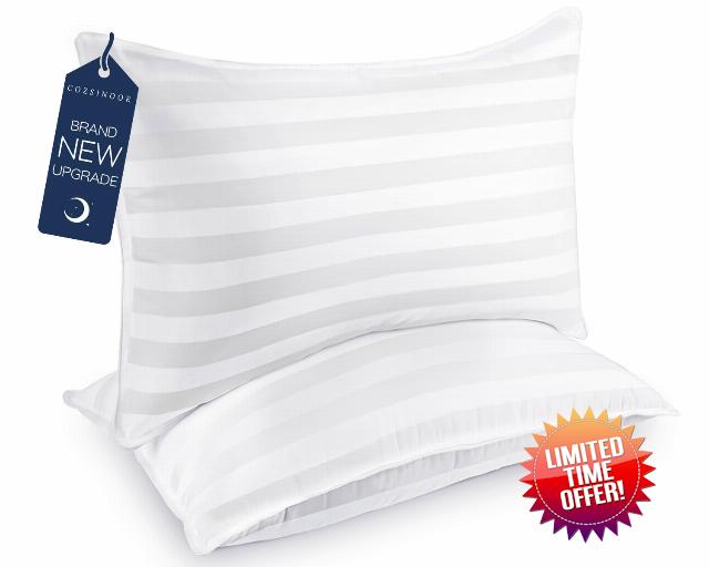 COZSINOOR Bed Pillows Queen Size: Hotel Quality Set of 2 - Down Alternative Microfiber Filled for Back