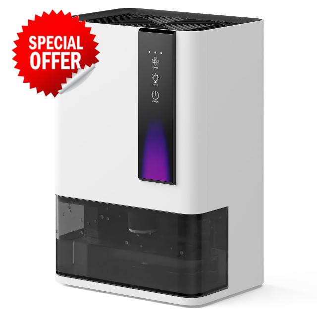 Dehumidifiers for Home