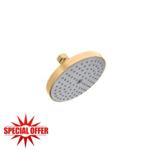 hansgrohe Raindance S -inch Showerhead in Brushed Bronze