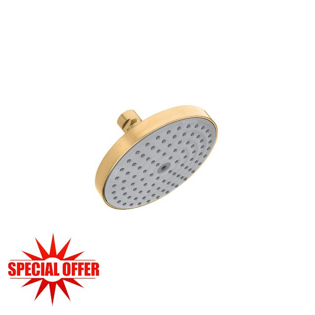 hansgrohe Raindance S -inch Showerhead in Brushed Bronze