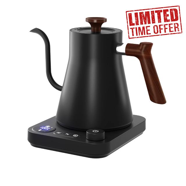 Gooseneck Electric Kettle
