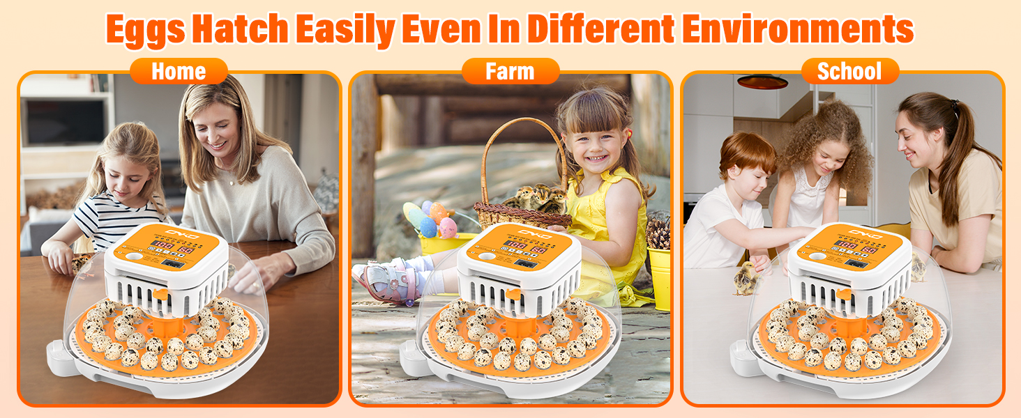 quail egg incubator
