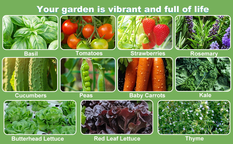 Grow Herbs, Vegetables, Leafy Greens, and Lettuce, Basil, Tomatoes, and More