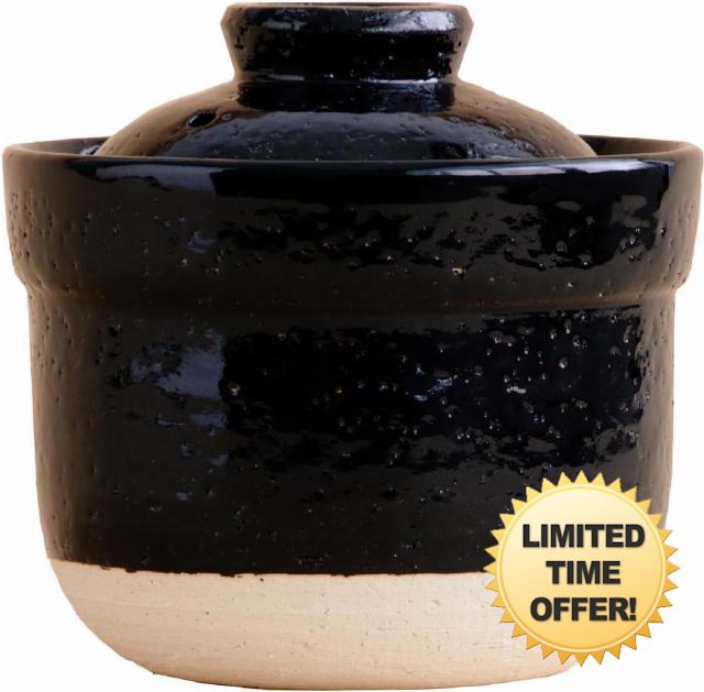 Iga no Takumi Instant Rice Pot Microwave Rice Cooker Clay Pot for One-Person Cooking Authentic Iga-Yaki Donabe – Perfect for Rice & Hot Pot (US Version)
