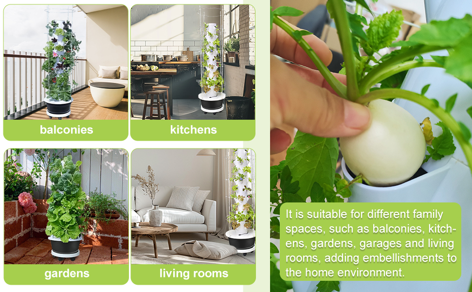 Bring Life to Your Home and Freshness to Your Plate with a Hydroponic Garden