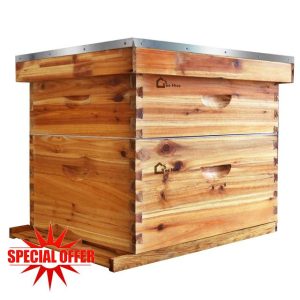 10-Frame Bee Hive Starter Kit for Beekeepers Dipped In 100% Beeswax Includes 1 Deep Box and 1 Medium Bee Box with Beehives Frames and Wax Foundations for Beginner Beekeepers