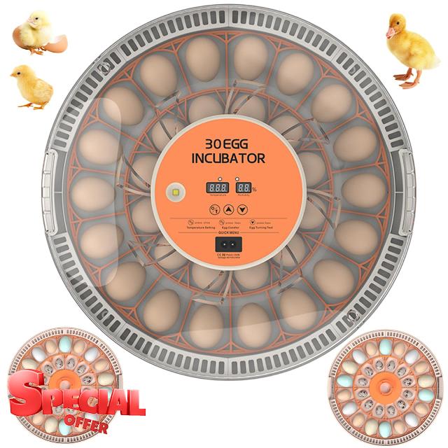 30 Eggs Incubator for Hatching Chicken/Goose/Quail/Duck/Turkey