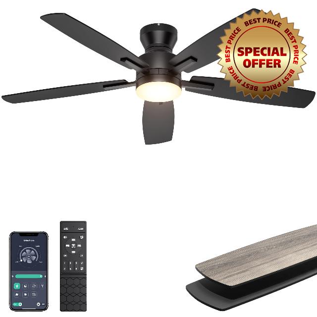 Ohniyou Ceiling Fans with Lights