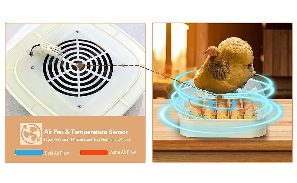 chicken egg incubator