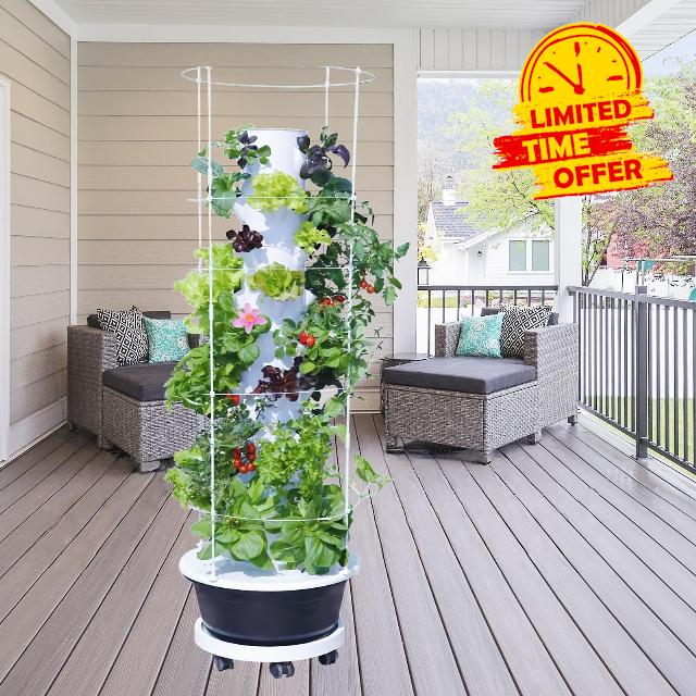 Hydroponic System Kit