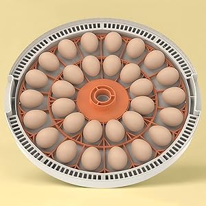 30 eggs incubator 2
