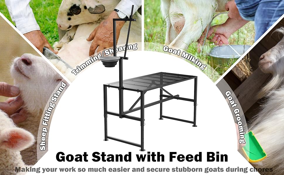 Goat Stand