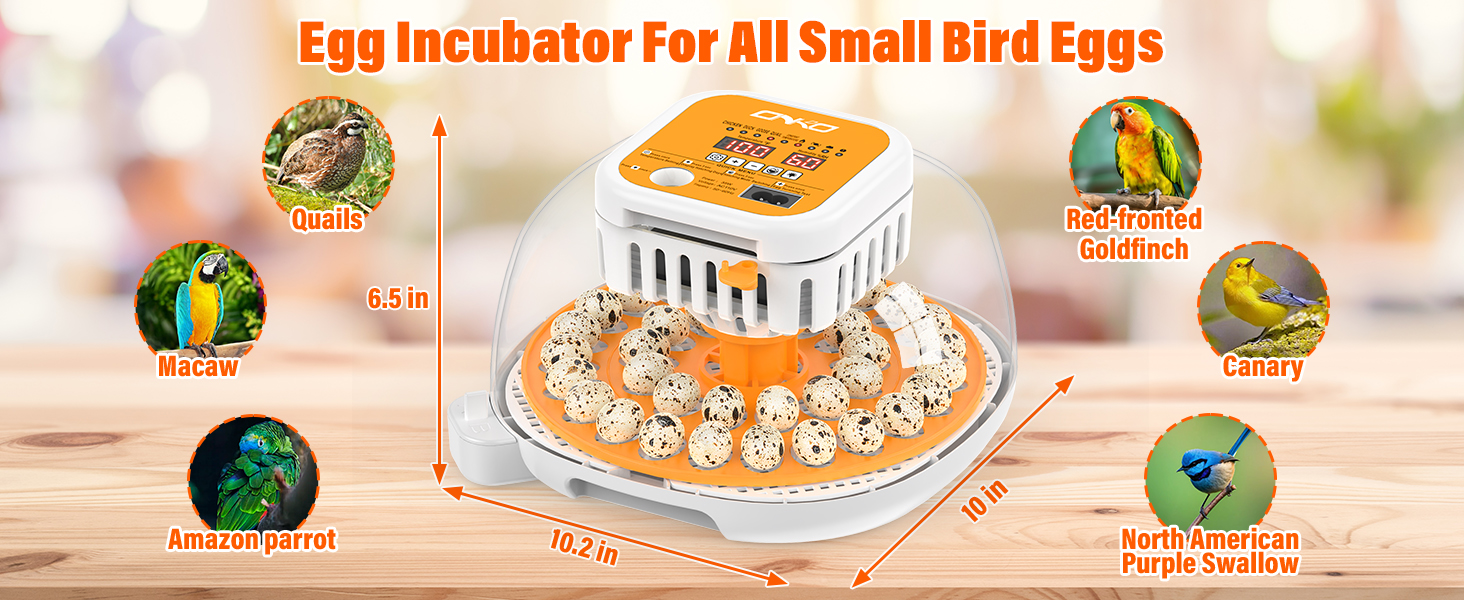 quail egg incubator