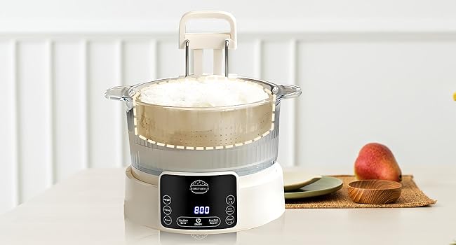low sugar rice cooker glass