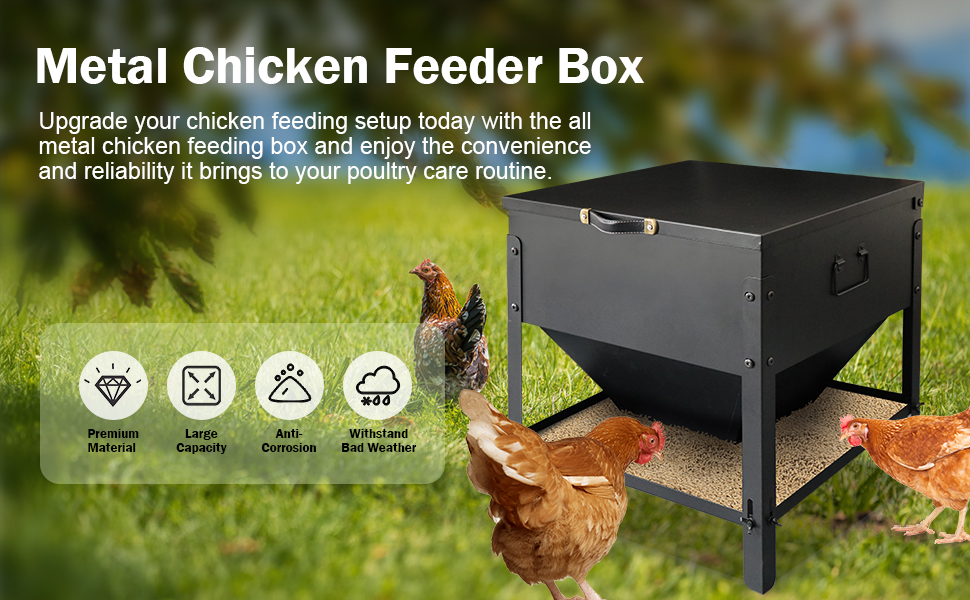 metal chicken feeder