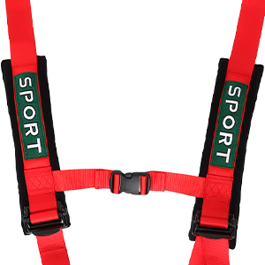 DING.PAI 2Pcs 4 Point Harness Seat Belt
