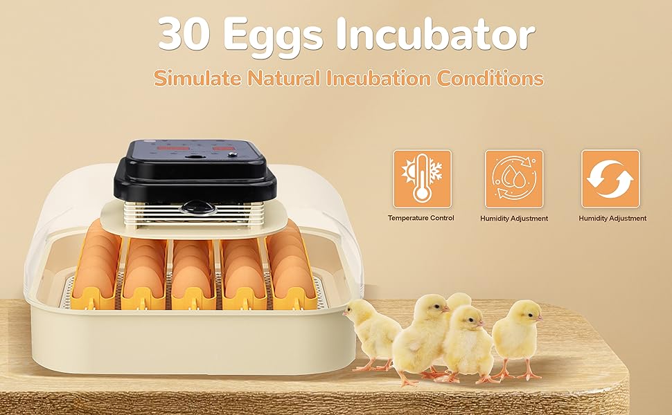 chicken egg incubator