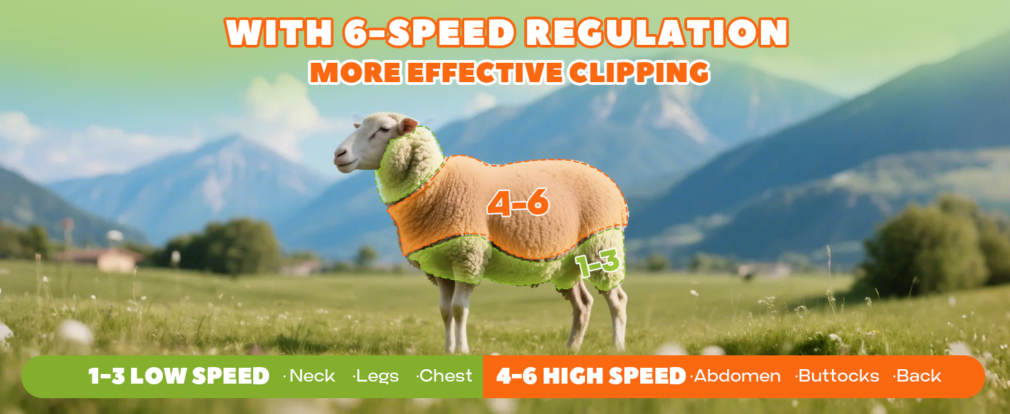 sheep shearing clippers