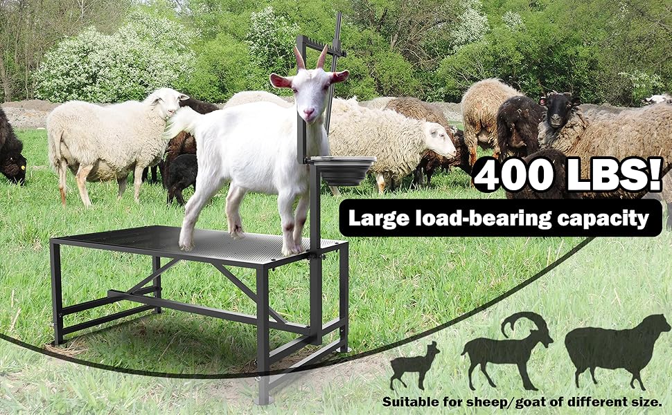 goat stand