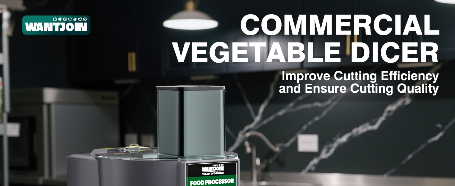 5 in 1 Electric Vegetable Chopper