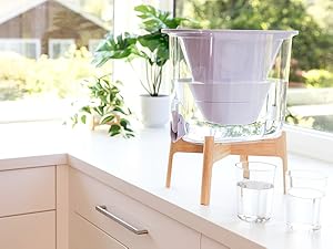 Dual filtration technology