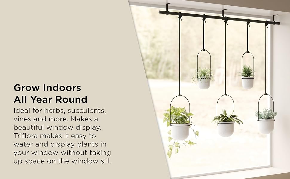 triflora hanging planter