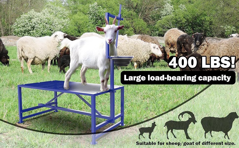 feed bin
