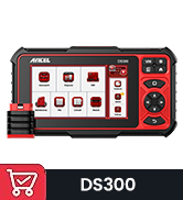 ds200