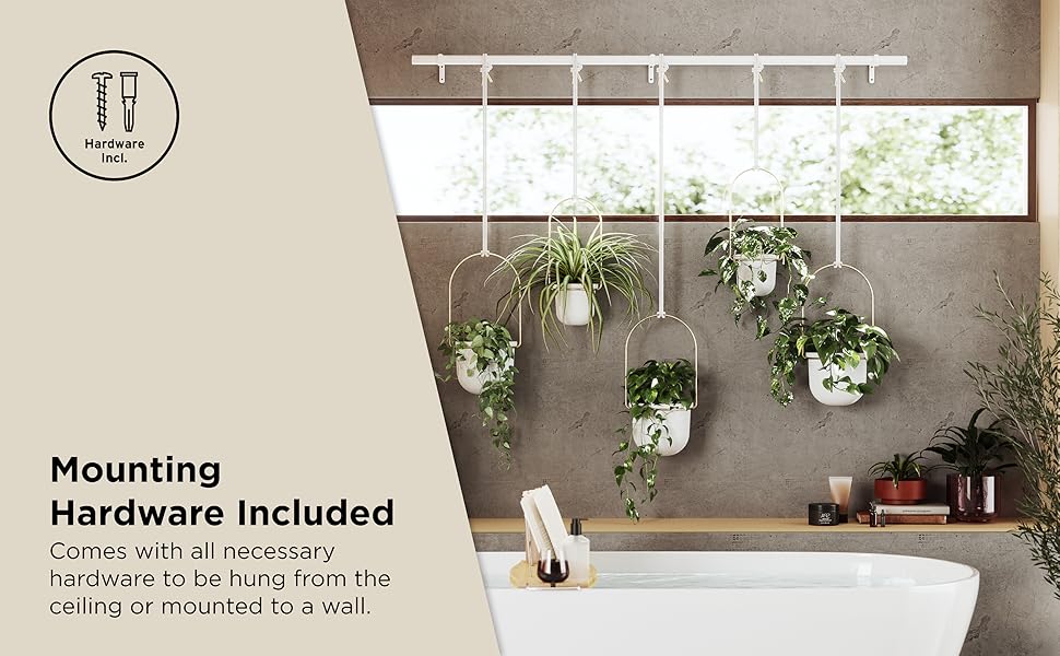 triflora hanging planter