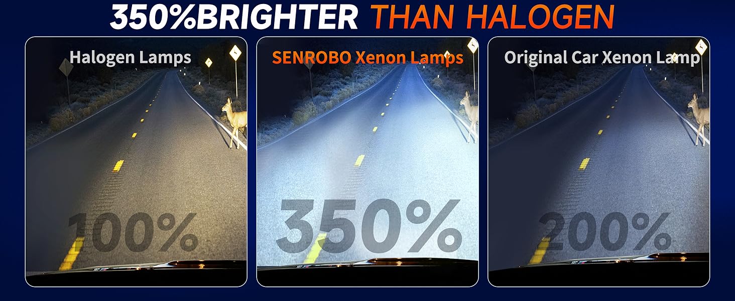 Xenon Light-D5S-8000K-PC-2