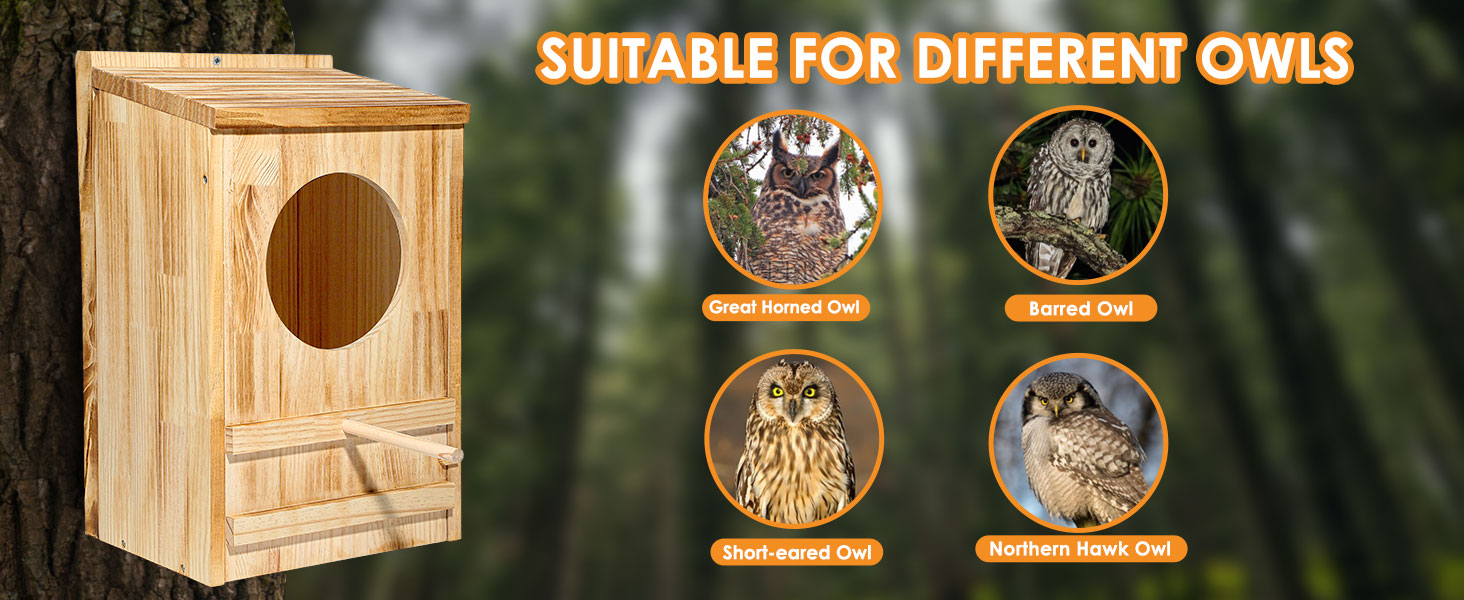 suitable for diffenet owls