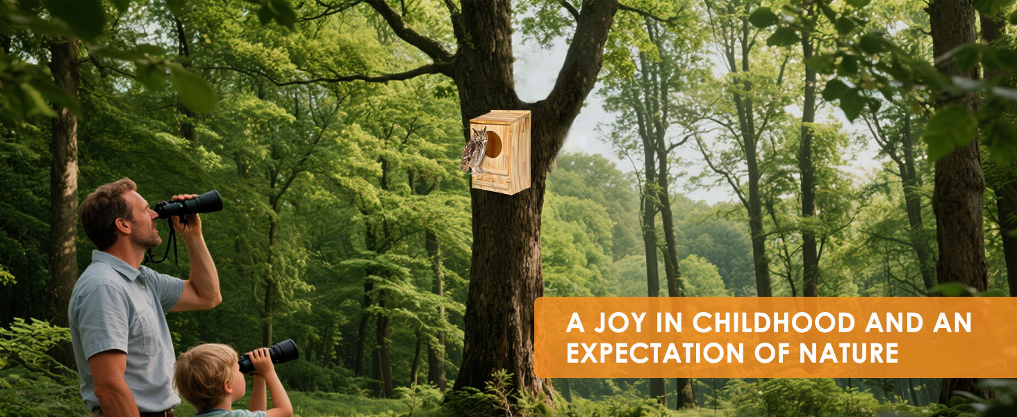 owl nest box large