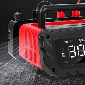 Fully Automatic Battery Maintainer