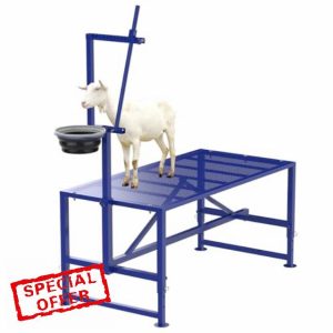 Goat Milking Stand with Feeder