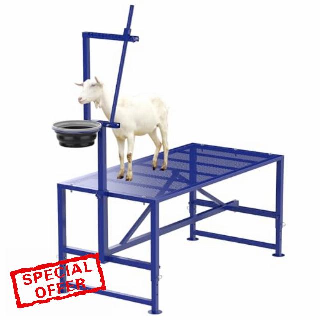 Goat Milking Stand with Feeder