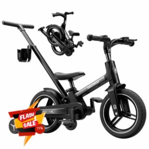 Toddler Bike with Push Handle 6 in 1 for Kids