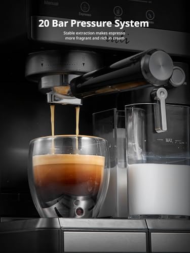 Auto or Manual Quick Brew Dual Boiler