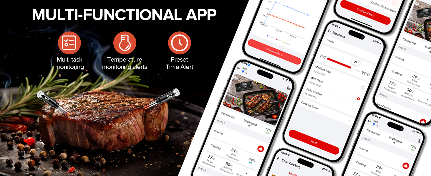 Wireless Meat Thermometer