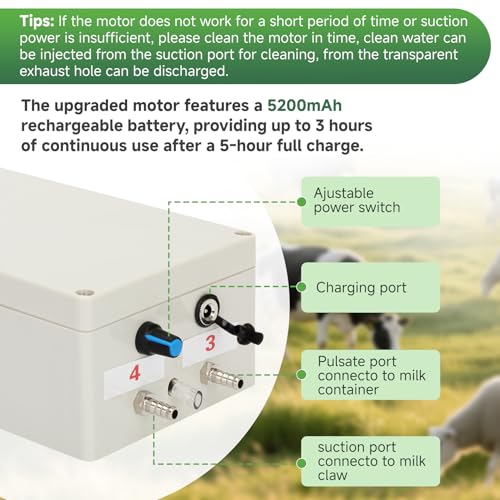 Battery Powered Pulsation Vacuum Pump