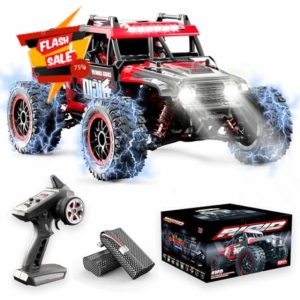 Brushless Fast RC Truck