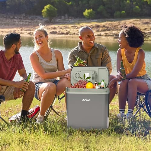 12V Plug-in Electric Cooler & Warmer for Vehicles