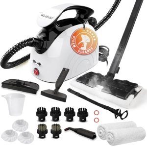 Handheld Steamer with 21 Accessories