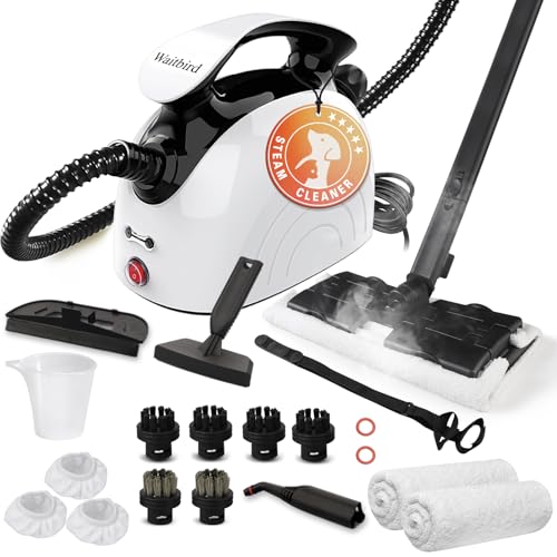 Handheld Steamer with 21 Accessories