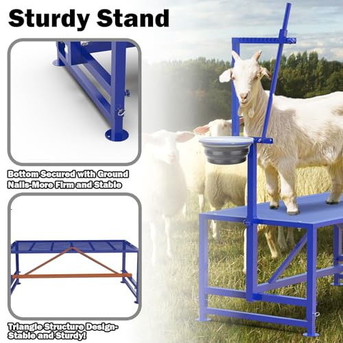 Goat Stand for Trimming Hooves