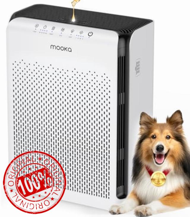 Air Purifiers for Home Large Room up to 2200ft²