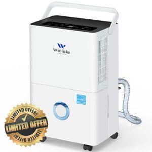 Energy Star Dehumidifier