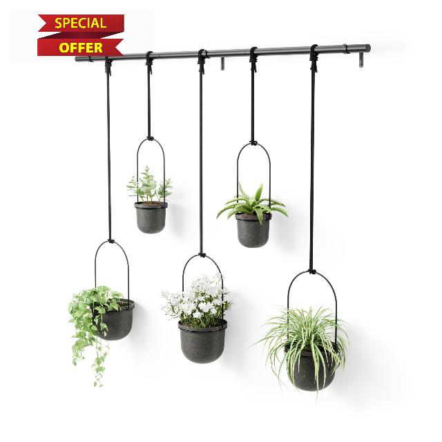 Umbra Triflora Hanging Planter